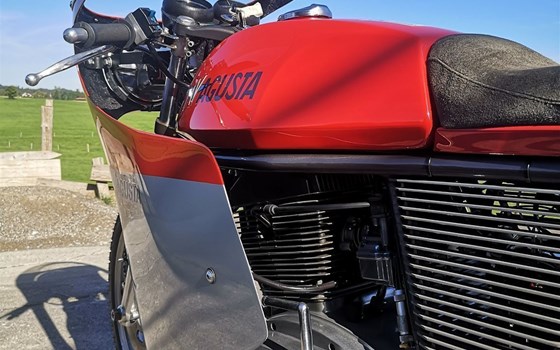 Motorrad Occasion MV Agusta 350 Ipotesi - Bild 6