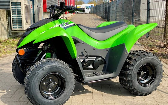 Neufahrzeug Kawasaki KFX 90 - Bild 2