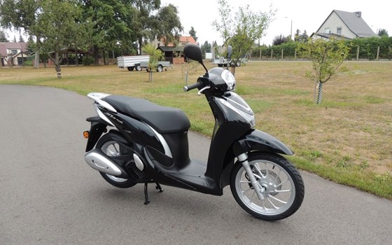 Neufahrzeug Honda SH125 - Bild 1