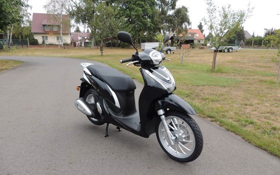 Neufahrzeug Honda SH125 - Bild 2