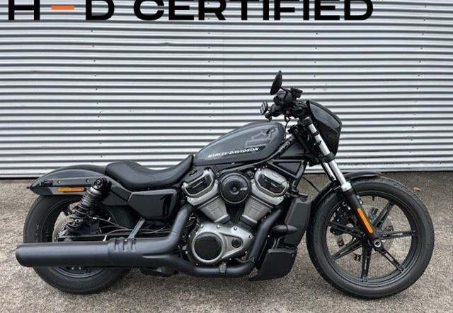 Harley-Davidson Nightster (Gunship Gray)