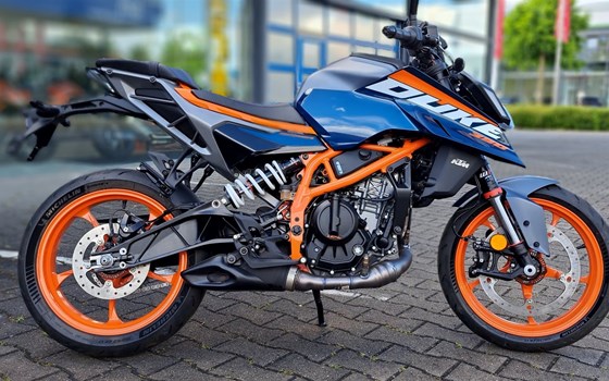 Neufahrzeug KTM 390 Duke - Bild 1