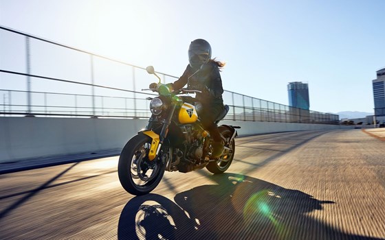 Neufahrzeug Triumph Trident 660 - Bild 5