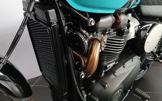 Neufahrzeug Triumph Scrambler 900 - Bild 10 Neufahrzeug Triumph Scrambler 900 - Bild 10