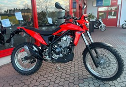 Neumotorrad Beta Alp 4.0