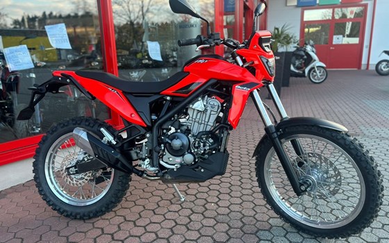 Neufahrzeug Beta Alp 4.0 - Bild 1