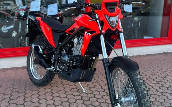 Neufahrzeug Beta Alp 4.0 - Bild 2