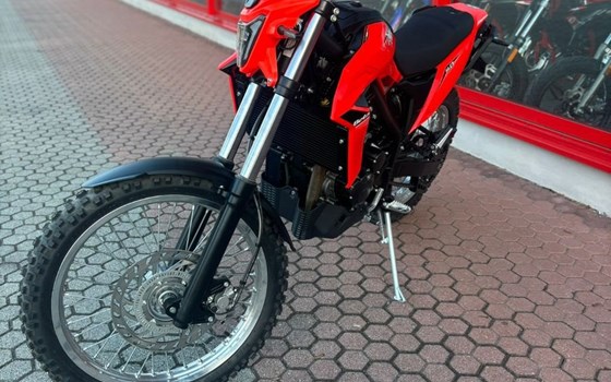 Neufahrzeug Beta Alp 4.0 - Bild 6