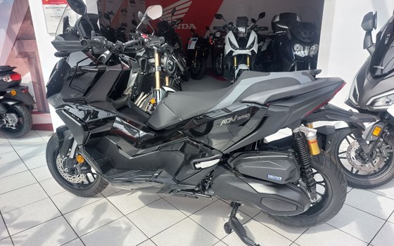 Neufahrzeug Honda ADV350 - Bild 4