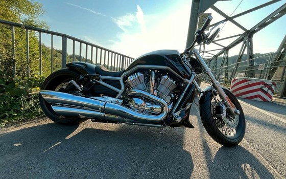 Gebrauchtmotorrad Harley-Davidson V-Rod VRSCA - Bild 3