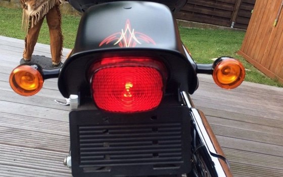 Gebrauchtmotorrad Harley-Davidson Softail Cross Bones FLSTSB - Bild 4