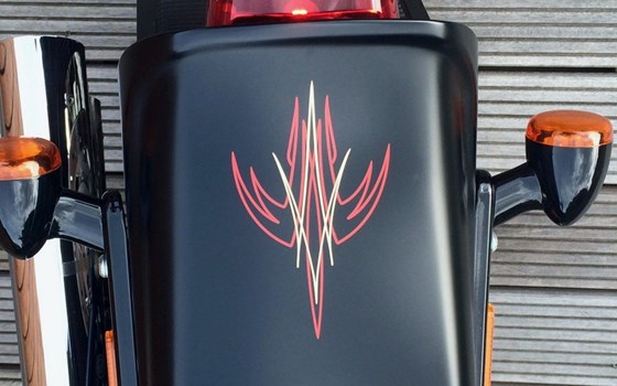 Gebrauchtmotorrad Harley-Davidson Softail Cross Bones FLSTSB - Bild 8