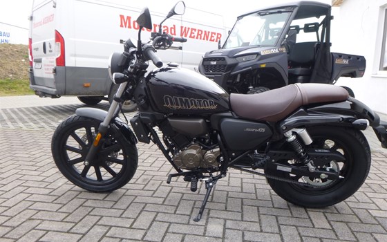 Neufahrzeug QJ Motor SRV 125 - Bild 2