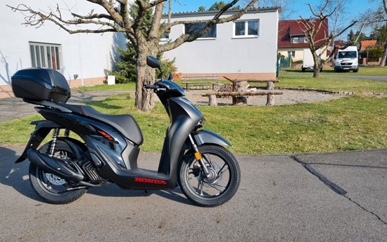 Neufahrzeug Honda SH125i - Bild 1