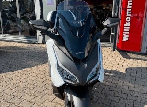Gebrauchtmotorrad Honda Forza 125 - Bild 3