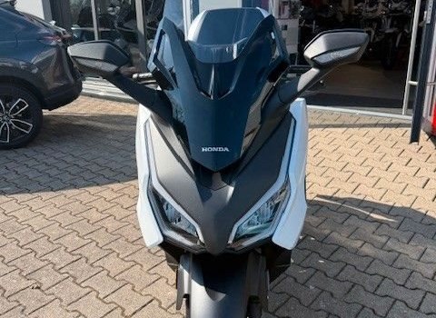 Gebrauchtmotorrad Honda Forza 125 - Bild 4