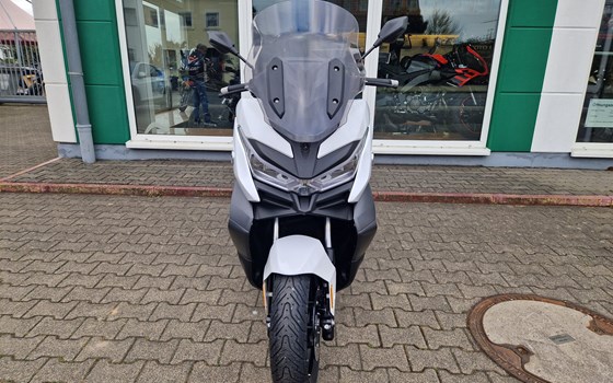 Neufahrzeug Voge SR4 350 LUXURY - Bild 6