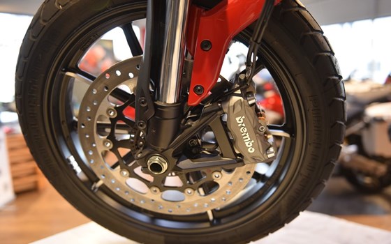 Neufahrzeug Ducati Scrambler Icon - Bild 3