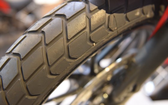 Neufahrzeug Ducati Scrambler Icon - Bild 7