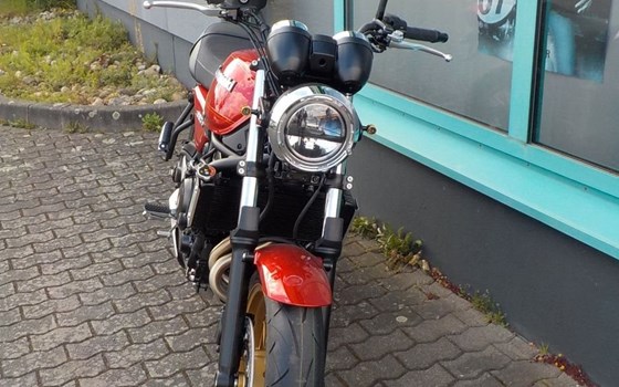 Neufahrzeug Kawasaki Z650 RS - Bild 5