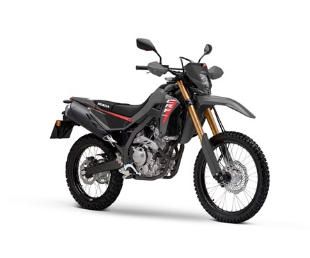 Neumotorrad Honda CRF300L
