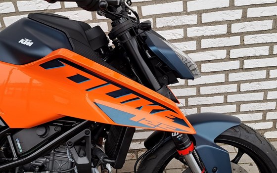 Neufahrzeug KTM 125 Duke - Bild 2