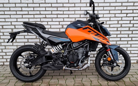 Neufahrzeug KTM 125 Duke - Bild 1