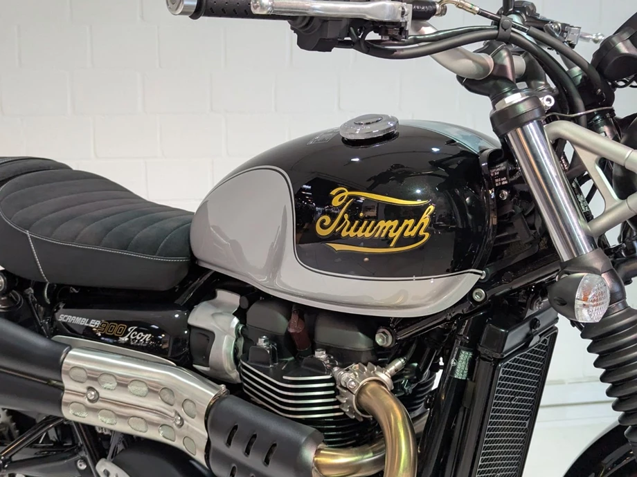 Angebot Triumph Scrambler 900 Bild 6: Angebot Triumph Scrambler 900