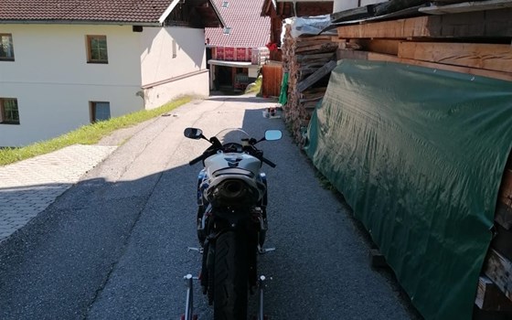 Gebrauchtmotorrad Honda CBR600RR - Bild 5 Gebrauchtmotorrad Honda CBR600RR - Bild 5
