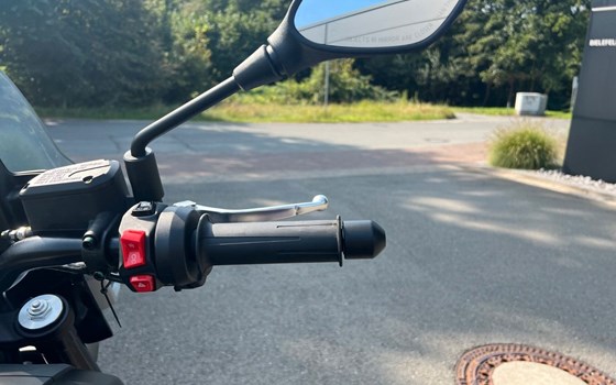 Neufahrzeug Moto Guzzi V85 Strada - Bild 11