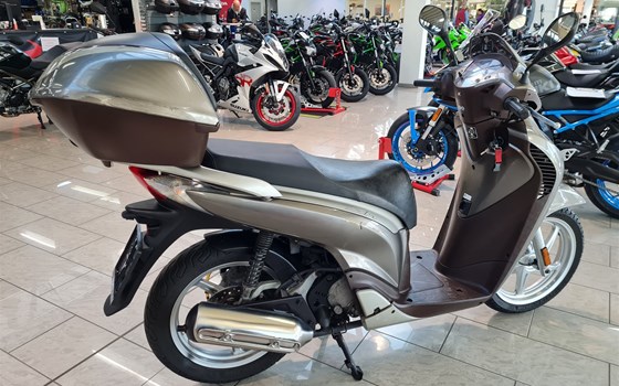 Gebrauchtmotorrad Honda SH125 - Bild 2 Gebrauchtmotorrad Honda SH125 - Bild 2
