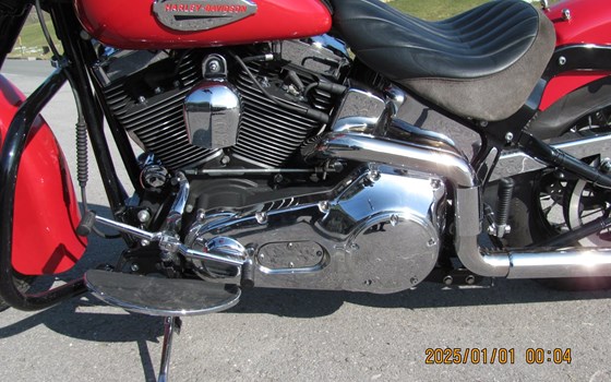 Gebrauchtmotorrad Harley-Davidson FXST/F - Bild 8 Gebrauchtmotorrad Harley-Davidson FXST/F - Bild 8