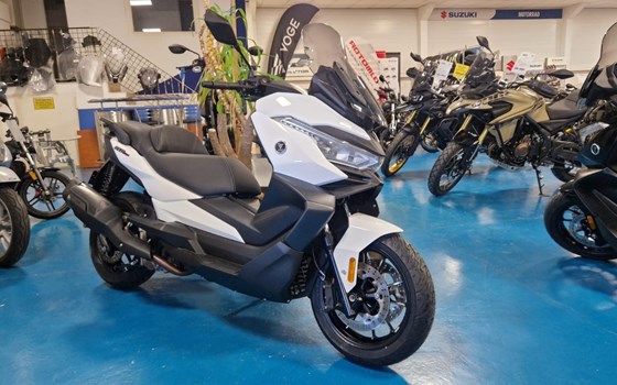 Neufahrzeug Voge SR4 350 LUXURY - Bild 1