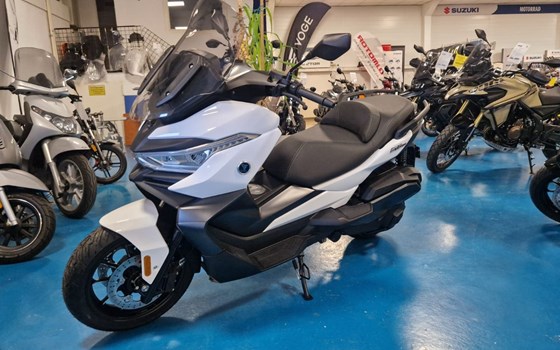 Neufahrzeug Voge SR4 350 LUXURY - Bild 2