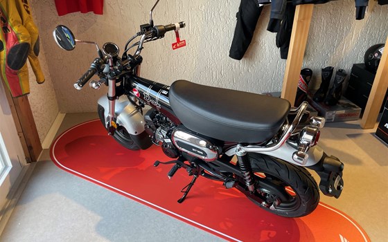 Neufahrzeug Honda Dax 125 - Bild 3
