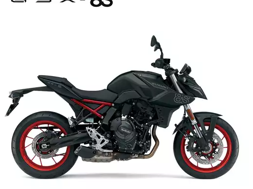 Suzuki GSX-8S<br />4 Jahre Garantie