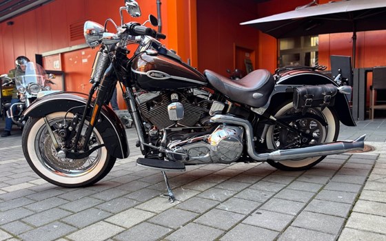 Gebrauchtmotorrad Harley-Davidson Softail Heritage Springer FLSTS - Bild 4 Gebrauchtmotorrad Harley-Davidson Softail Heritage Springer FLSTS - Bild 4