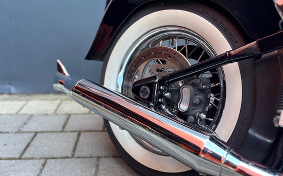 Gebrauchtmotorrad Harley-Davidson Softail Heritage Springer FLSTS - Bild 7 Gebrauchtmotorrad Harley-Davidson Softail Heritage Springer FLSTS - Bild 7