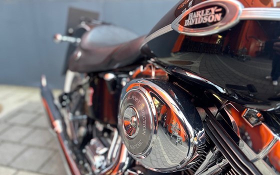 Gebrauchtmotorrad Harley-Davidson Softail Heritage Springer FLSTS - Bild 8 Gebrauchtmotorrad Harley-Davidson Softail Heritage Springer FLSTS - Bild 8