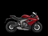 Neumotorrad Triumph Daytona 660 
