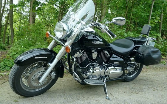 Gebrauchtmotorrad Yamaha XVS 1100 Drag Star Classic - Bild 2