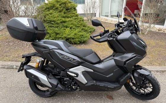 Neufahrzeug Honda ADV350 - Bild 1 Neufahrzeug Honda ADV350 - Bild 1