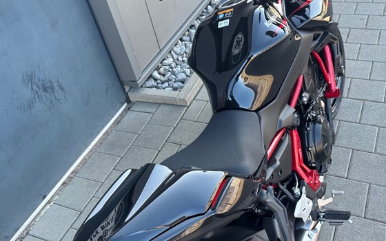 Neufahrzeug Kawasaki Z650 - Bild 3