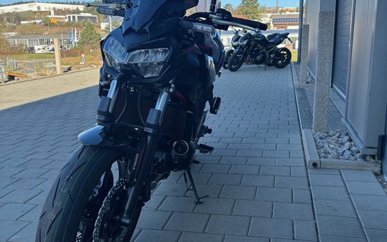Neufahrzeug Kawasaki Z650 - Bild 6