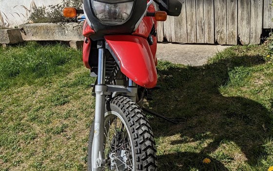 Gebrauchtmotorrad BMW F 650 GS - Bild 3