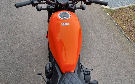 Neufahrzeug Honda CMX500 Rebel S - Bild 5