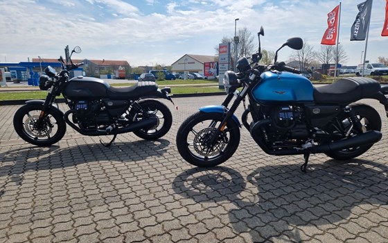 Neufahrzeug Moto Guzzi V7 Stone - Bild 6