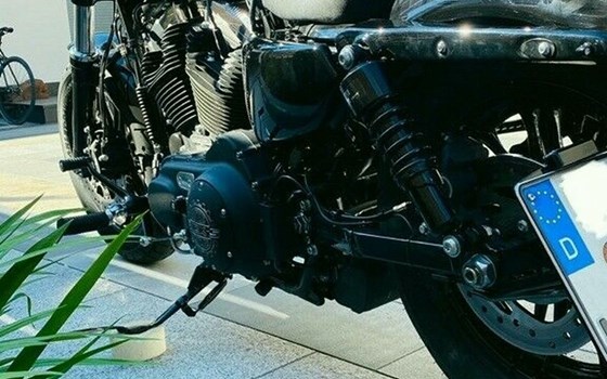 Gebrauchtmotorrad Harley-Davidson Sportster XL 1200X Forty-Eight - Bild 3