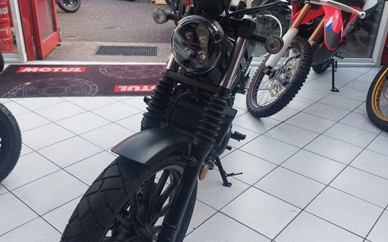 Neufahrzeug Honda CL500 - Bild 2