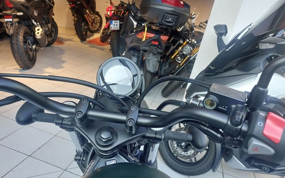 Neufahrzeug Honda CL500 - Bild 5